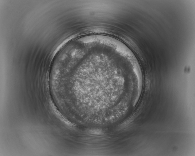 X0000110890798200907161525