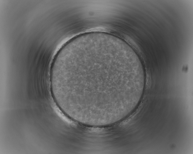 X0000110890800200907161525