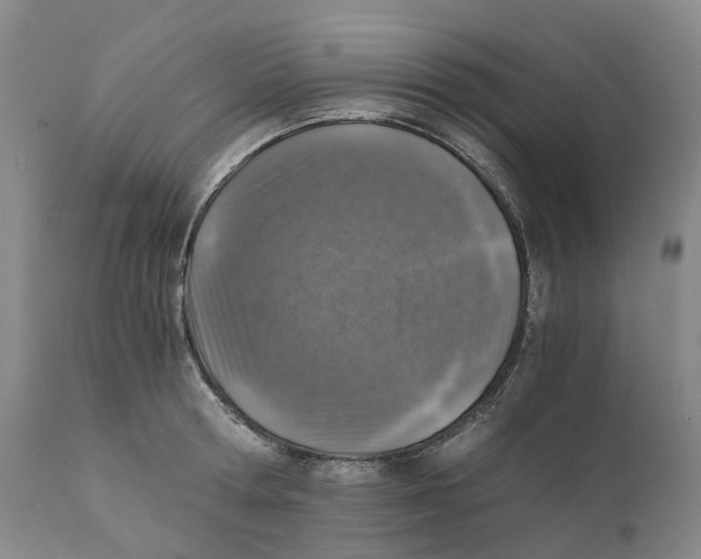 X0000110890802200907161525