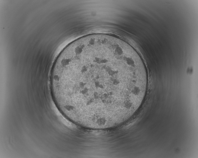 X0000110890803200907161525