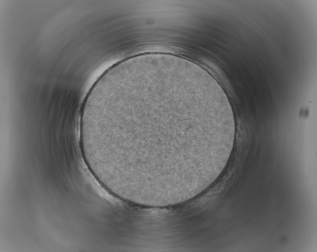 X0000110890804200907161525