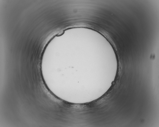 X0000110890805200907161525