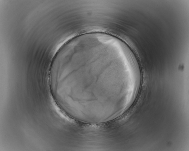 X0000110890806200907161525