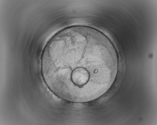 X0000110890807200907161525