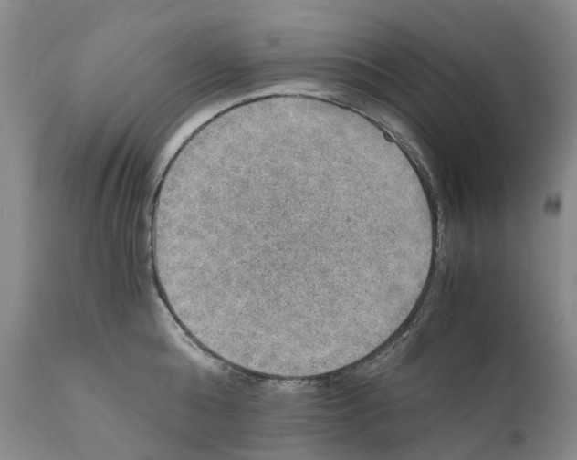 X0000110890808200907161524