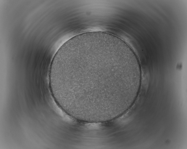 X0000110890810200907161524