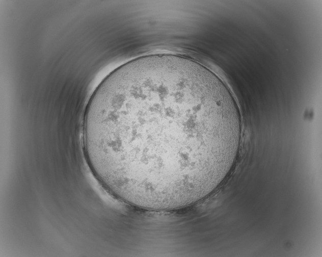 X0000110890811200907161524