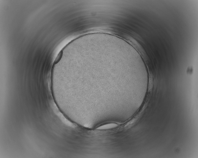 X0000110890812200907161524