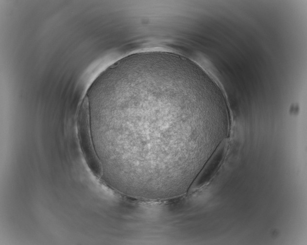 X0000110890813200907161524