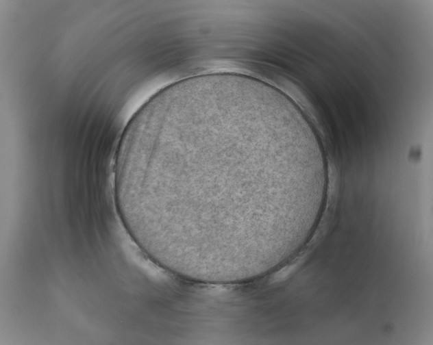 X0000110890814200907161524