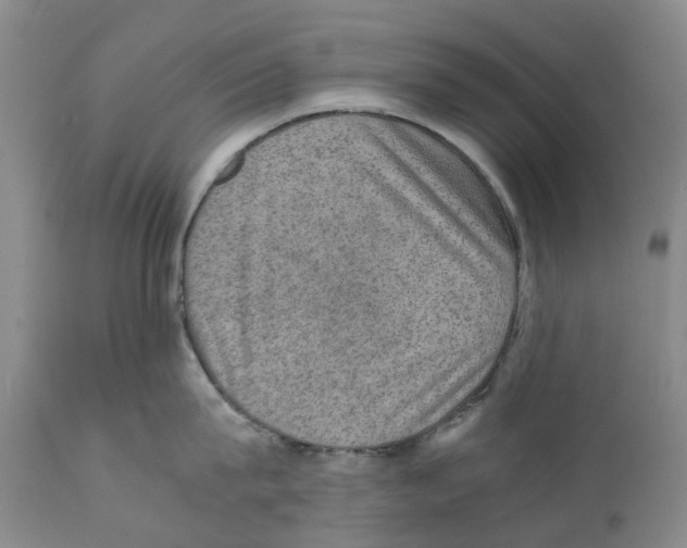 X0000110890815200907161524