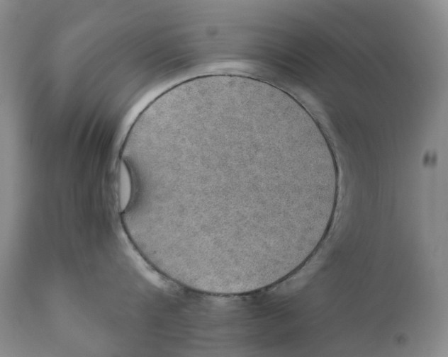 X0000110890816200907161524