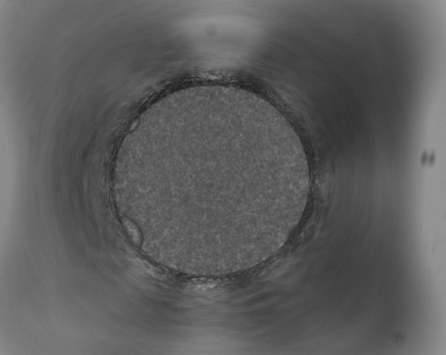 X0000110890817200907161524