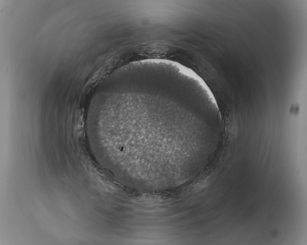 X0000110890818200907161524