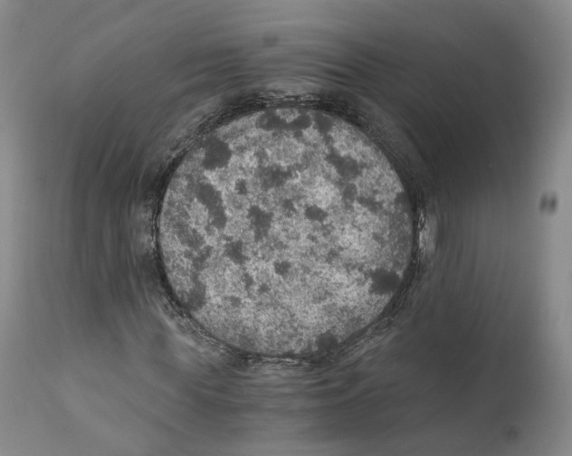 X0000110890819200907161524