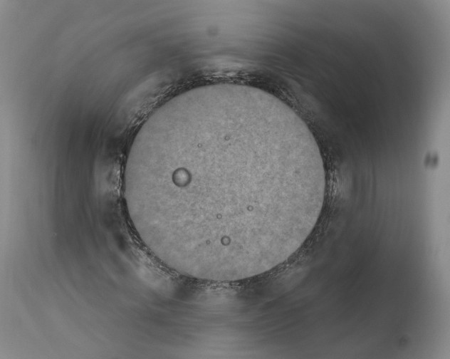 X0000110890820200907161524