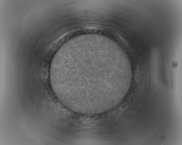 X0000110890821200907161524