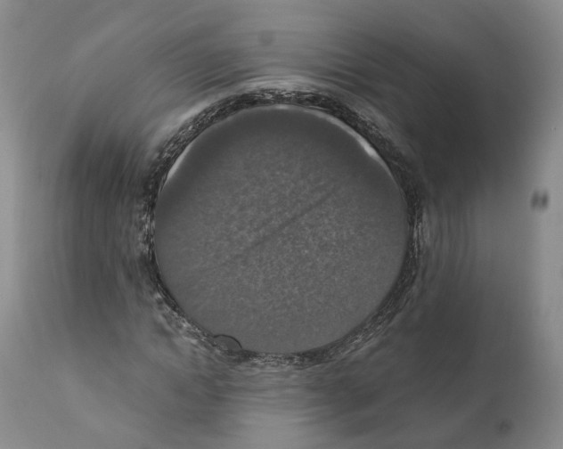 X0000110890822200907161524