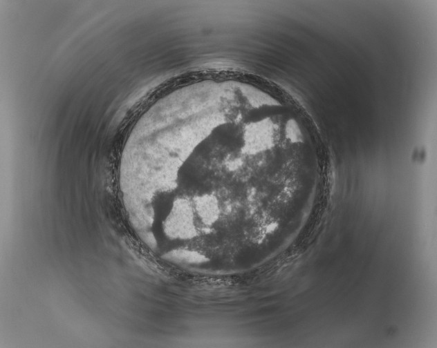 X0000110890823200907161524