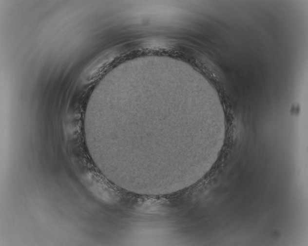 X0000110890824200907161524