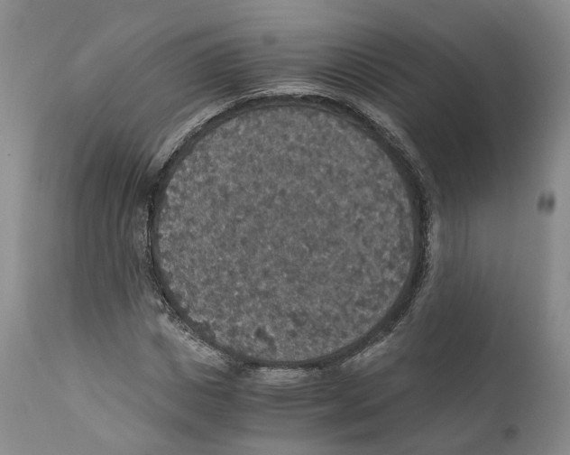 X0000110890825200907161524