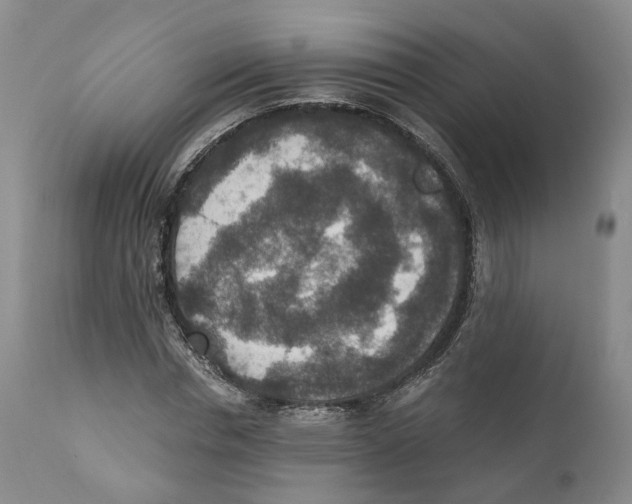 X0000110890826200907161524