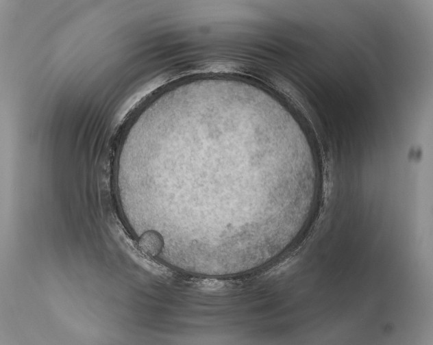 X0000110890827200907161524