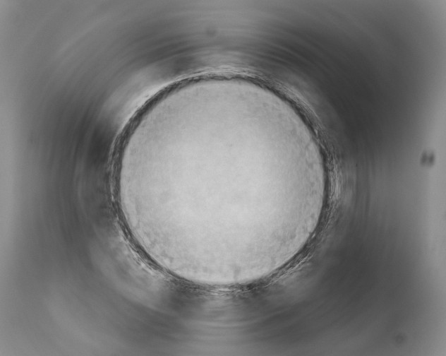 X0000110890828200907161524