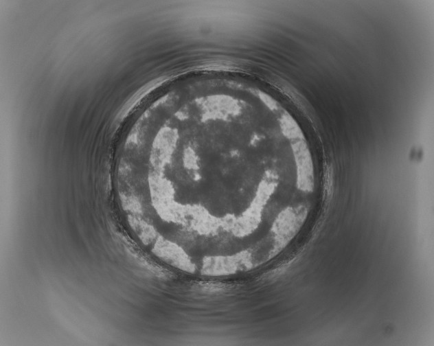 X0000110890829200907161524