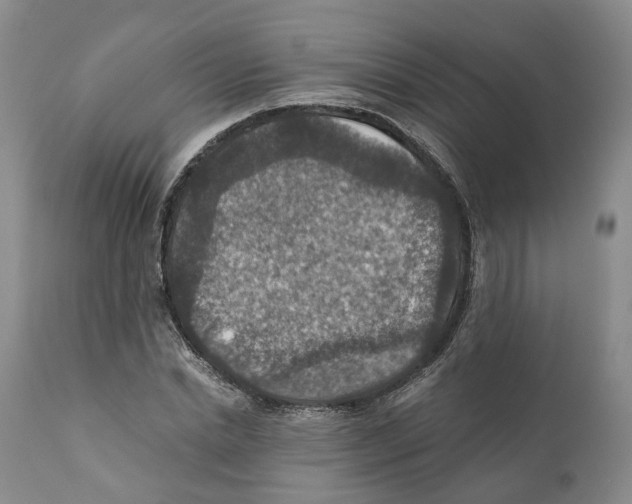 X0000110890830200907161524