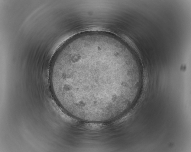 X0000110890831200907161524