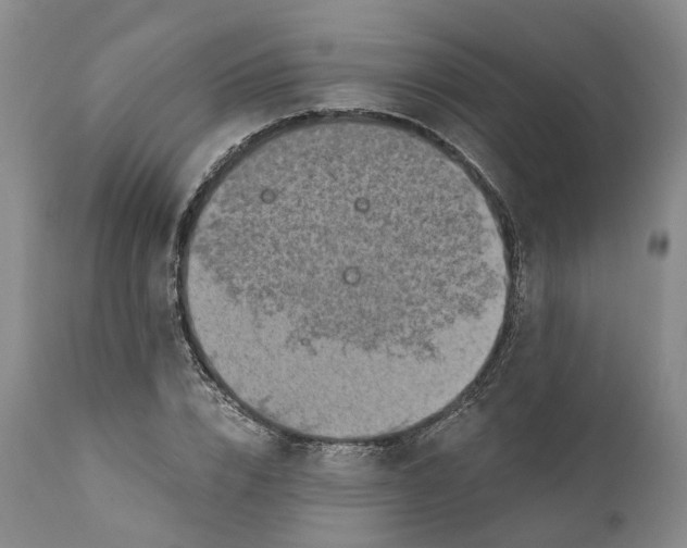 X0000110890832200907161524