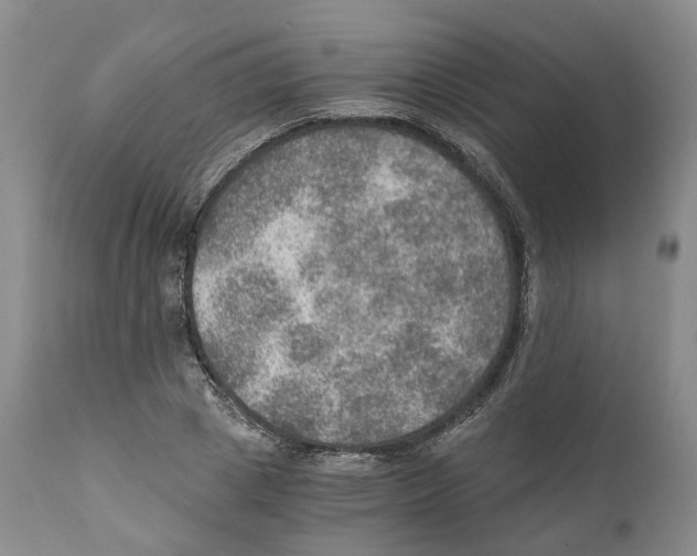 X0000110890833200907161524