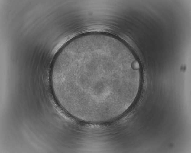 X0000110890834200907161524