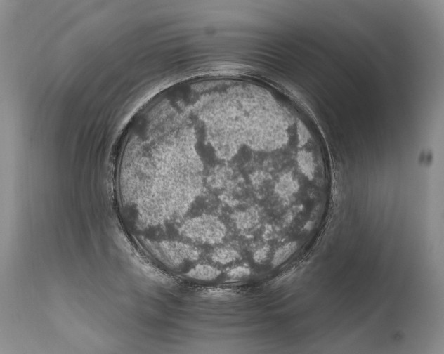 X0000110890835200907161524