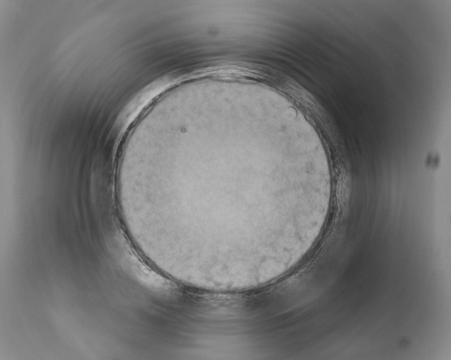 X0000110890836200907161524