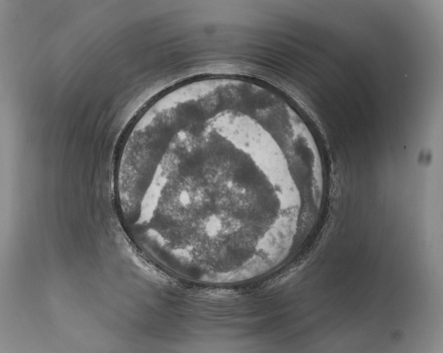 X0000110890837200907161524