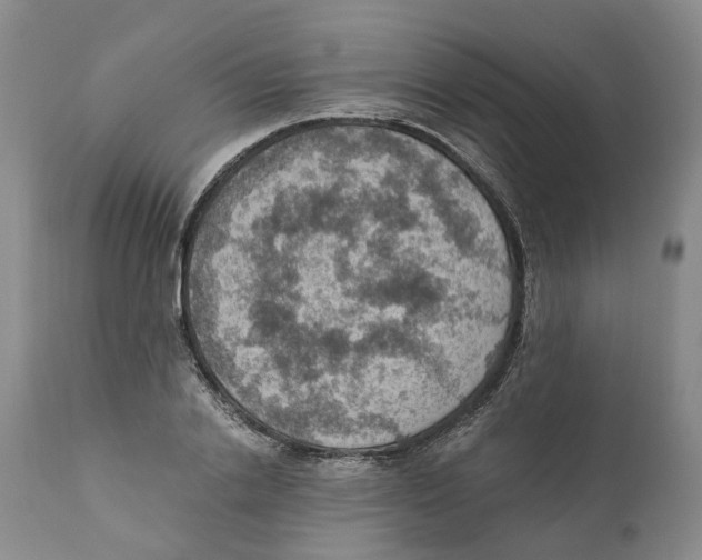 X0000110890838200907161524