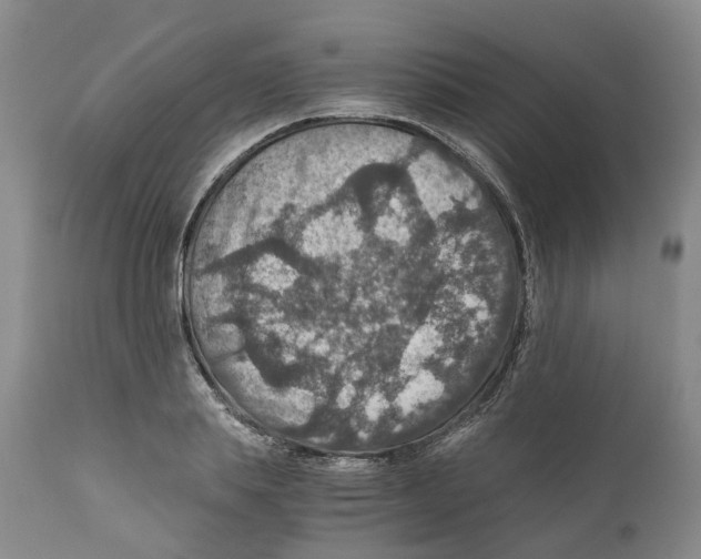 X0000110890839200907161524