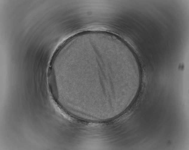 X0000110890840200907161524