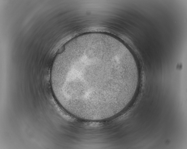 X0000110890841200907161524