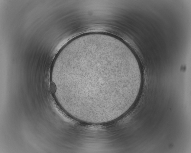 X0000110890842200907161524