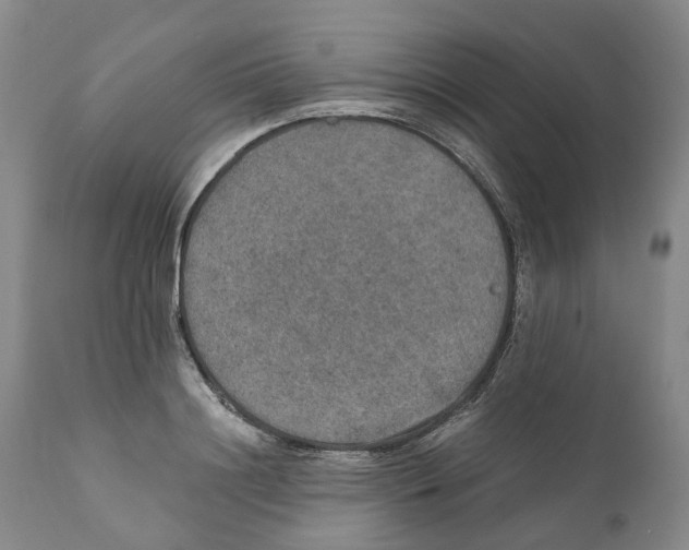 X0000110890844200907161524