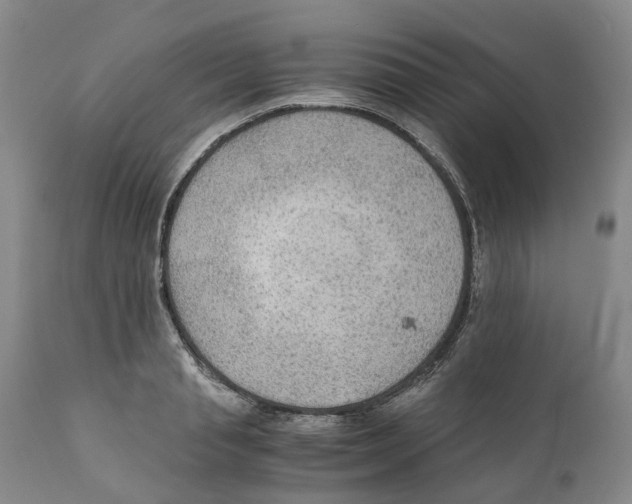 X0000110890845200907161524