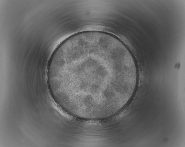 X0000110890846200907161524