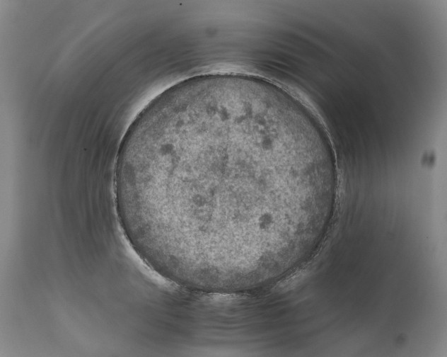 X0000110890847200907161524