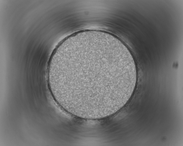 X0000110890848200907161524