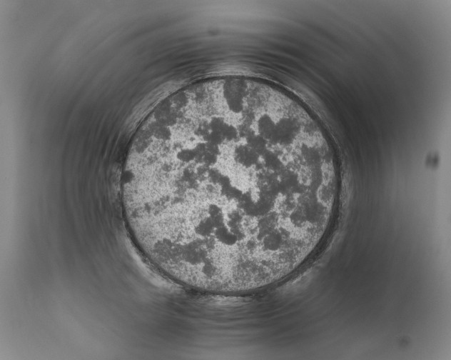 X0000110890849200907161524