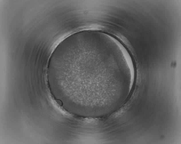 X0000110890850200907161524