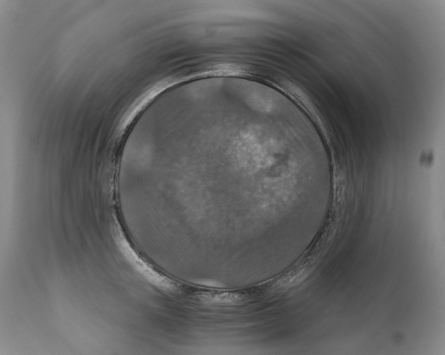 X0000110890851200907161524